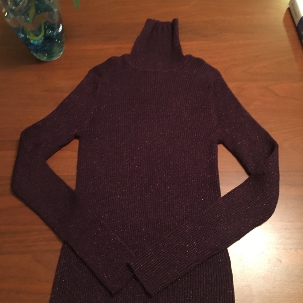 Sparkling Deep Burgundy Turtleneck
